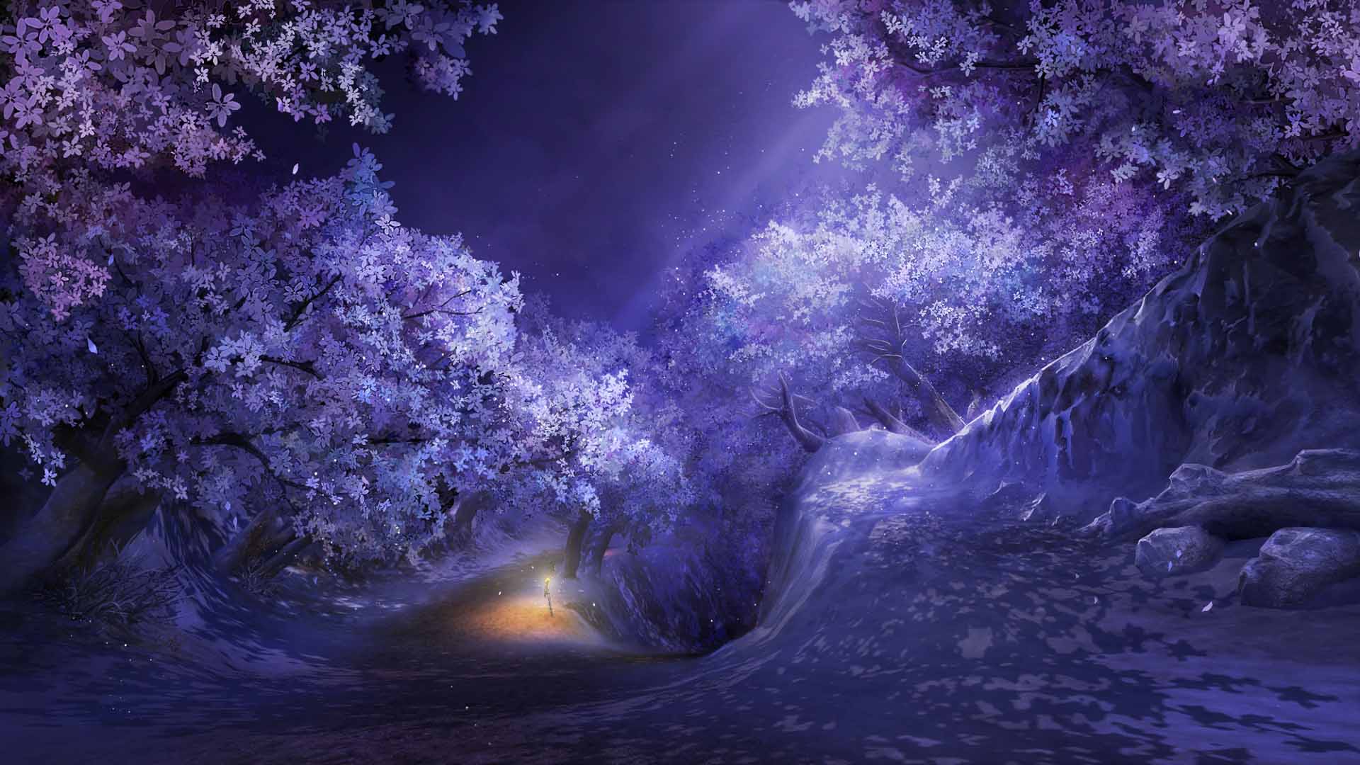 55开梦幻西游号